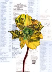 blooming through the hard time-Yellow poppy