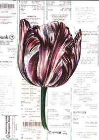 Heirloom tulip_a4_2021